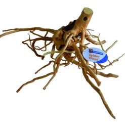 Hot SUPERFISH Racine Araignée L Bois 40x30x20 cm