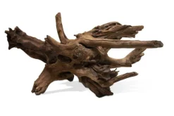 AQUAVIE Racine décorative pour aquarium coloris marron Sinknatur - Taille M