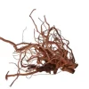 Discount AQUAVIE Racine décorative pour terrarium en bois naturel coloris marron racine Curlivigne - Taille XL