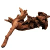 Outlet BLUE CORAL Racine de mangrove naturelle pour aquarium SUPERFISH - 20 cm