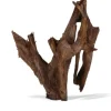 Best AQUAVIE Racine pour aquarium coloris marron Mangrove - Taille mm-gm 40 à 60 cm