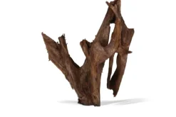 Best AQUAVIE Racine pour aquarium coloris marron Mangrove - Taille mm-gm 40 à 60 cm