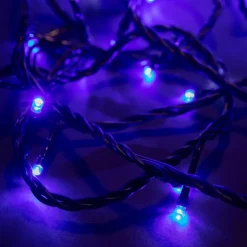 Discount FESTILIGHT Rallonge de guirlande lumineuse LED bleu sur secteur - 10 m