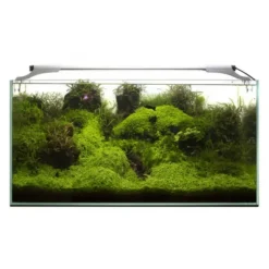 Outlet BLUE CORAL Rampe LED pour aquarium, jour & nuit, blanche 10W - AQUAEL Leddy Slim Sunny 2.0