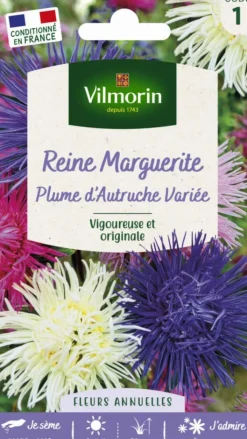 VILMORIN Reine Marguerite Plume d'Autruche variée - graines à semer