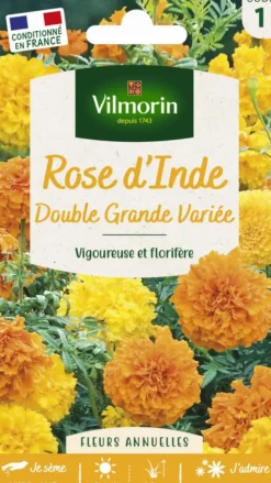 Hot VILMORIN Rose d'Inde Double grande variée - graines à semer