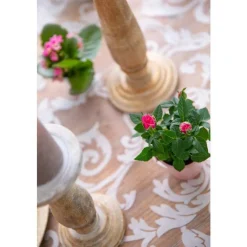 Discount Rosier en pot Ø 6 cm