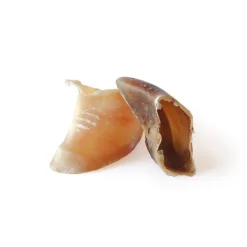 Best BUBIMEX Sabot de veau en vrac - prix à la pièce