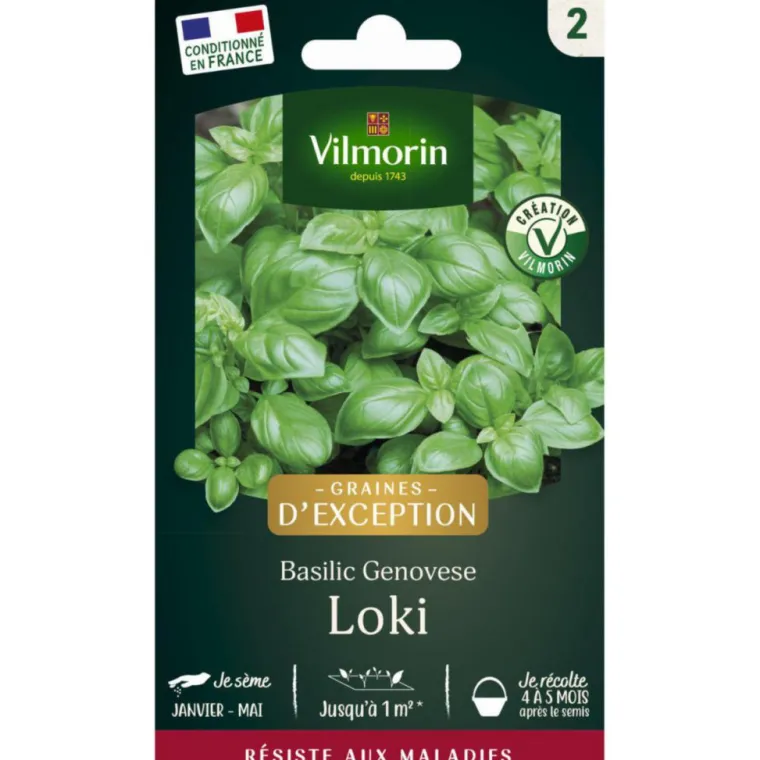 Hot VILMORIN Sachet de semences potagères graines de basilic genovese loki