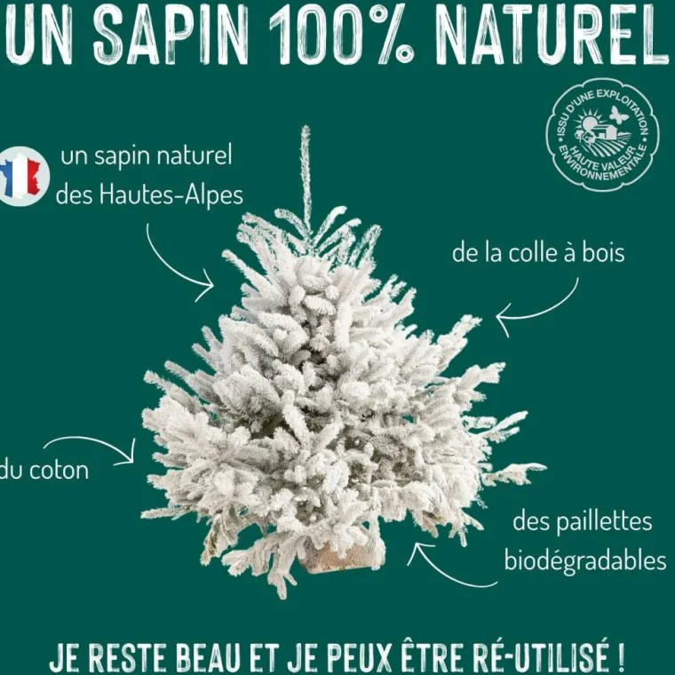Sale Sapin de Noël naturel blanc effet enneigé Glacé Robin®