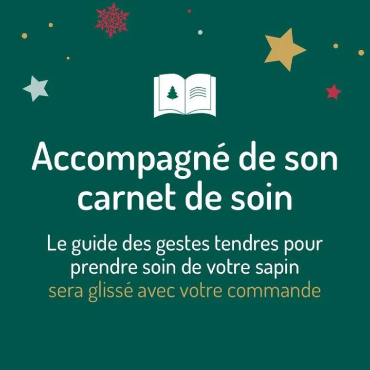 Hot Sapin de Noël naturel coupé Épicéa - de 200 à 250 cm