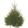 New Sapin de Noël naturel coupé Épicéa - de 175 à 200 cm