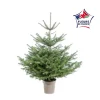BOTANIC® Sapin de Noël naturel en pot Nordmann