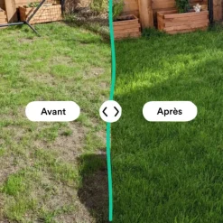 Clearance BLEEN Semences gazon création et rénovation pour tous types de terrain - 5 kg