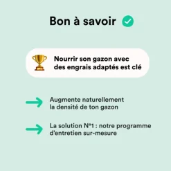 Clearance BLEEN Semences gazon création et rénovation pour tous types de terrain - 5 kg