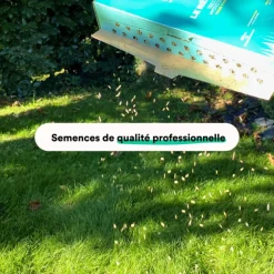 Outlet BLEEN Semences gazon création et rénovation pour tous types de terrain - 3 kg