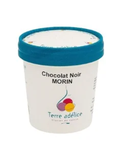New TERRE ADELICE Sorbet chocolat noir Terre Adélice - Pot de 120 ml