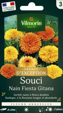VILMORIN Souci Nain Fiesta Gitana - graines à semer