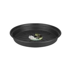 Online ELHO Soucoupe Green Basics 10 cm noire Noir. Dimension totale : D.10,1 X H.1,5cm. Les soucoupes d'elho offrent le meilleur systu00e8me d'u2019arrosage u00e0 toutes vos plantes. L'u2019excu00e9dent du2019'eau est ru00e9cupu00e9ru00e9 par la soucoupe, dans laquelle la plante puise quand elle en a besoin. Existe en plusieurs tailles et d'autres coloris.","pos":34},"unic_product_shipping_ldd":{"title":"Eligible LDD","type":"Boolean","renderingMode":null,"value":false,"pos":50},"unic_product_suitable_pot":{"title":"Pot adaptu00e9","type":"Boolean","renderingMode":null,"value":false,"pos":102},"unic_product_suitable_saucer":{"title":"Soucoupe adaptu00e9e","type":"Boolean","renderingMode":null,"value":false,"pos":103},"unic_product_uv_resistance":{"title":"Ru00e9sistance aux UV","type":"String","renderingMode":null,"value":"TRu00c8S BONNE","pos":105}},"contexts":{"list":{"title":"Liste sur le site"},"specifications":{"title":"Caractu00e9ristiques"},"information":{"title":"Onglet dans le du00e9tail"},"technical":{"title":"Mise u00e0 disposition technique"}},"visibilities":{"specifications":[{"key":"commons","items":[{"key":"unic_product_care_tips"},{"key":"unic_product_main_colour"},{"key":"unic_product_diameter"},{"key":"unic_product_shape"},{"key":"unic_product_material"},{"key":"unic_product_hazardous_material"},{"key":"unic_product_origin"}]},{"key":"specific","items":[{"key":"unic_product_suitable_pot"},{"key":"unic_product_suitable_saucer"},{"key":"unic_product_uv_resistance"}]}],"technical":[{"key":"commons","items":[{"key":"unic_product_warranty_label"},{"key":"unic_product_desc_web_short"},{"key":"unic_product_shipping_ldd"}]}],"information":[{"key":"commons","items":[{"key":"unic_product_desc_web_long"}]}]}},"jsonLd":{"@context":"https://schema.org","@type":"Product","name":"Soucoupe Green Basics 10 cm noire ELHO","url":"https://www.botanic.com/produit/33256/soucoupe-green-basics-10-cm-noire-elho.html","image":["https://botanic-botanic-storage.omn.proximis.com/Imagestorage/imagesSynchro/0/0/d928985731275fcba2b2648a1438bc3a4f173633_1526665.png"],"brand":{"@type":"Brand","name":"ELHO"},"sku":"33256","offers":{"@type":"Offer","url":"https://www.botanic.com/produit/33256/soucoupe-green-basics-10-cm-noire-elho.html","priceCurrency":"EUR","price":1.49,"availability":"https://schema.org/InStock"}},"user":{"id":0}};window.__change['gagtm'] = {"view_item":{"currency":"EUR","value":1.49,"items":[{"promotion_id":"","promotion_name":"","item_id":"PV-33256","item_name":"Soucoupe Green Basics 10 cm noire ELHO","affiliation":null,"coupon":"JOURNu00c9ES CLUB","currency":"EUR","discount":0.23,"index":0,"item_brand":"ELHO","item_category":"Soucoupes et plateaux","item_category2":"Pots, bacs et jardiniu00e8res","item_category3":"Plantes & fleurs","item_category4":"botanicu00ae","item_category5":"","item_list_id":"","item_list_name":"","item_variant":"","location_id":"","price":1.49,"quantity":1}]}};Afficher le zoom pour l’image 1 sur 1Aller à la slide précédenteAller à la slide suivante