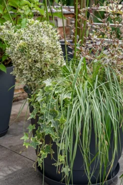 EDA Soucoupe gris anthracite pour pot Poetic Joy 25 - Ø 18,7 x H 2,4 cm