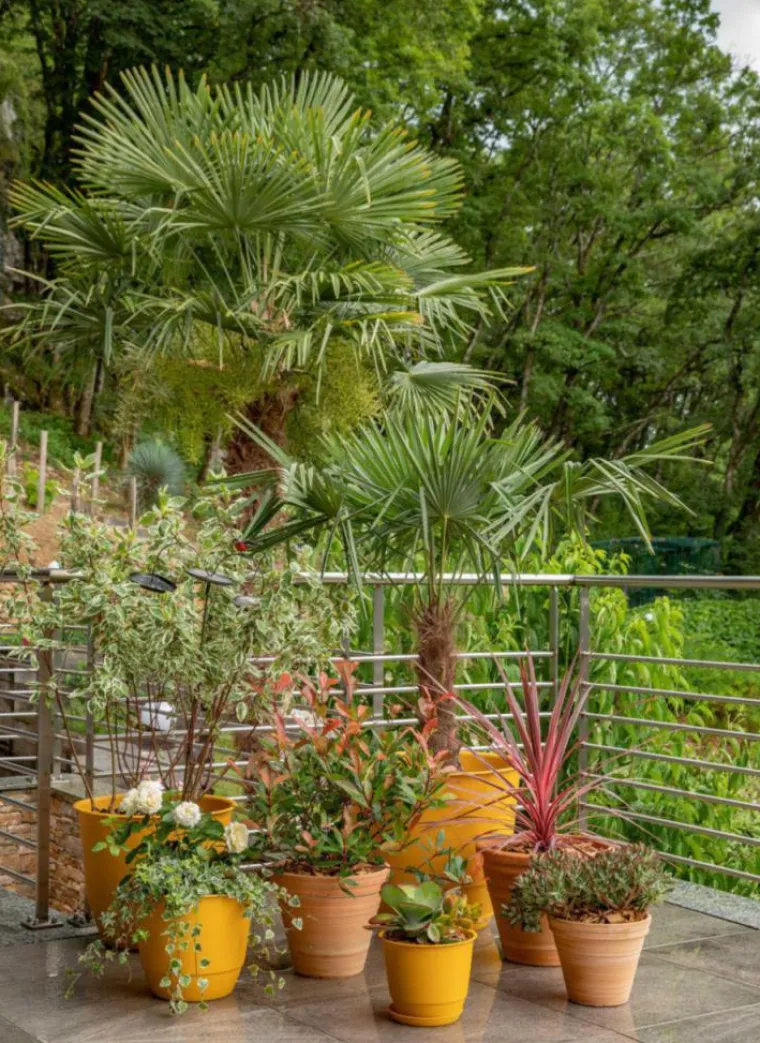 Discount POETIC Soucoupe jaune tournesol pour pot Joy 40 - Ø 30 cm