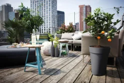 New ELHO Soucoupe Loft urban anthracite Ø 14 cm