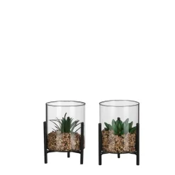 Online EDELMAN Succulente artificielle vert foncé en pot transparent sur pied - Ø 10,5 x H 13 cm