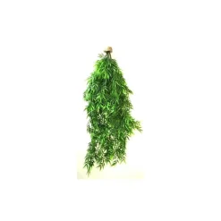 Best LABEO Suspension algue verte en plastique 80 cm