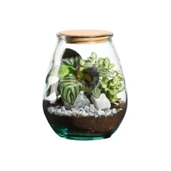 Online BOTANIC® Terrarium autonome Darasa - Taille M Ø 19 cm H 23 cm