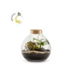 Hot BULLE DE NATURE Terrarium Bulle Light Mix en verre transparent avec bouchon liège Naturalys taille L - Ø 20,5 x 20 cm