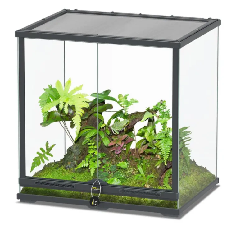 Discount TERRATLANTIS Terrarium coloris gris anthracite Smartline 60 - 60 x 45 x 60 cm