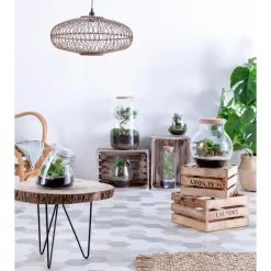 Clearance BULLE DE NATURE Terrarium quitto taille L Ø 10 x h 30 cm