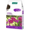 Hot BOTANIC® Terreau orchidées - 4 L