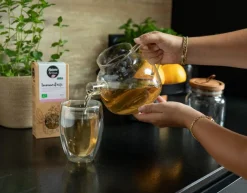 Online NATURE & VOUS Théière en verre et couvercle bambou - 850 ml