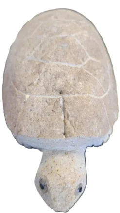 Sale VITIS IN SITU Tortue en granit taupe - 10 cm