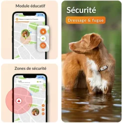 Discount WEENECT Traceur GPS pour chien coloris blanc