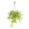 Outlet Tradescantia Ivory Hill suspension Ø17xH35 cm