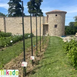 Discount MIKADO Tuteur à tomate avec 4 attaches coloris gris  - 180 cm