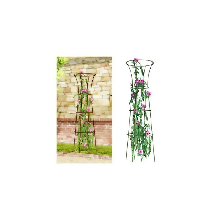 Discount VITIS IN SITU Tuteur Rosier paysage 180 cm de haut