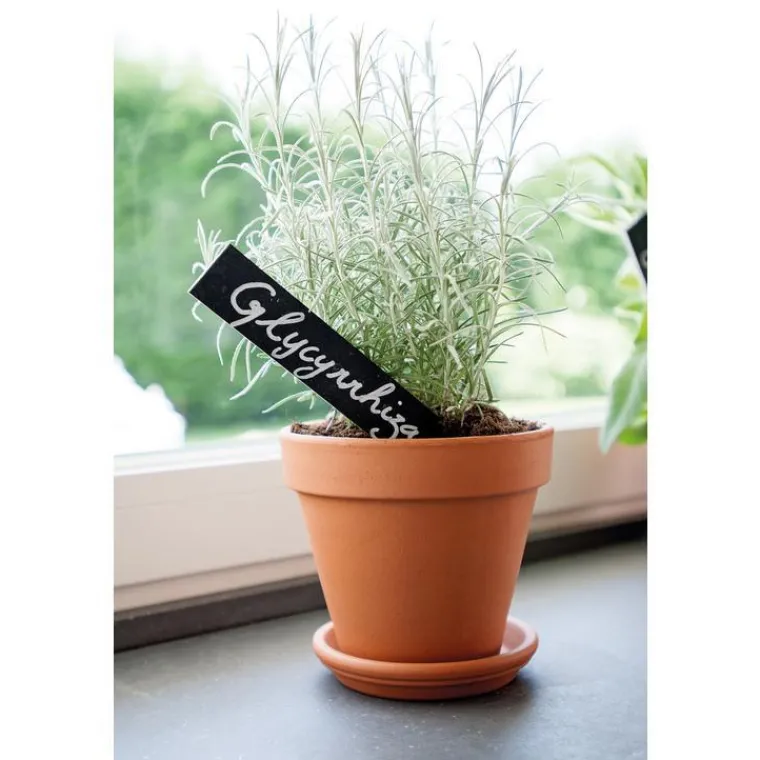 Hot DEROMA Vase brut rouge en terre cuite D.27 x H24