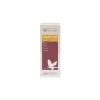 Discount VERSELE LAGA Vitamines stimulantes liquides pour le chant des oiseaux exotiques Canto-Vit - 30 ml