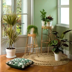 Best BOTANIC® Zamioculcas vert en pot blanc émaillé . Le pot Ø 15 cm